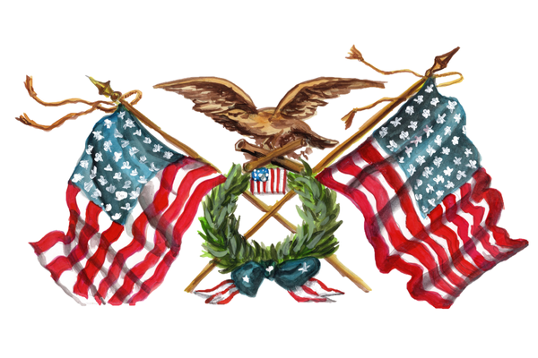 American Flags and Eagle Rug