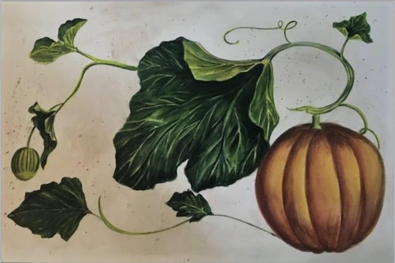 Photo of fall pumpkin rectangle placemat