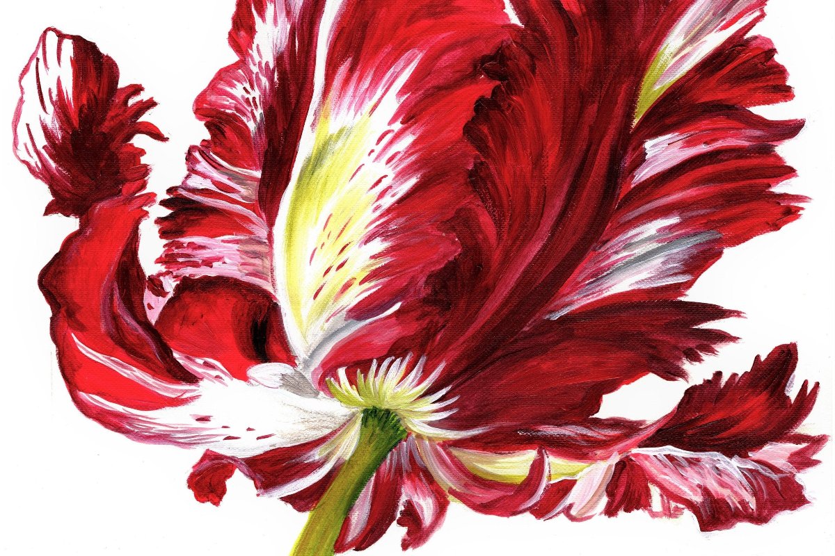 Fiery Parrot Tulip Rug