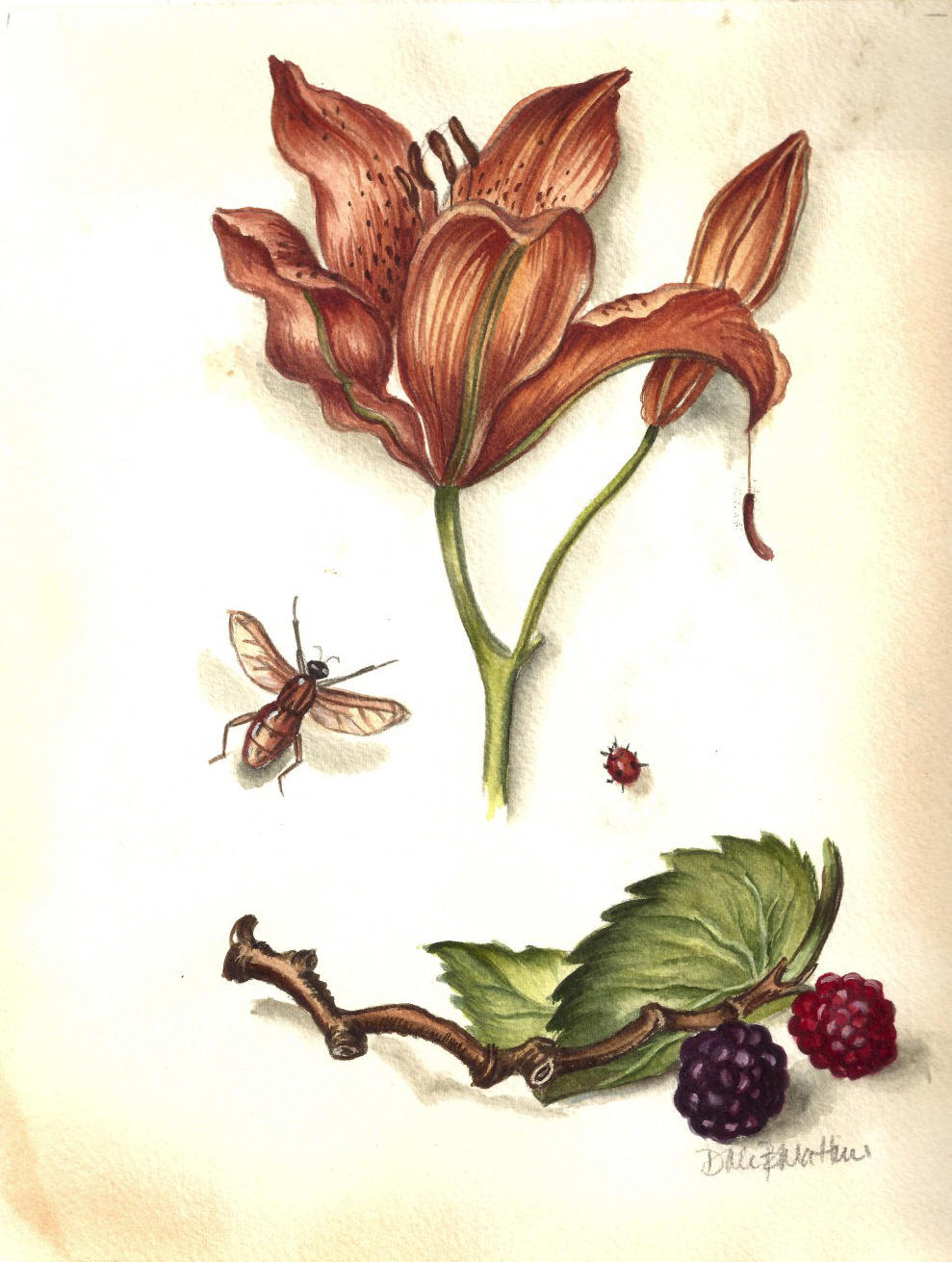 Lily and Berries Tabletop Art