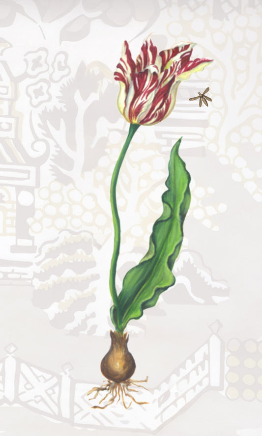 Parrot Tulip with Bee Canvas Wall Hanging