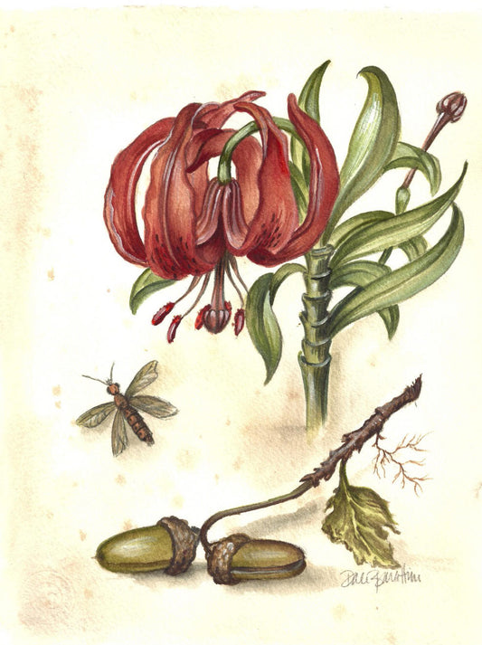 Botanical Lily and Acorns Tabletop Art