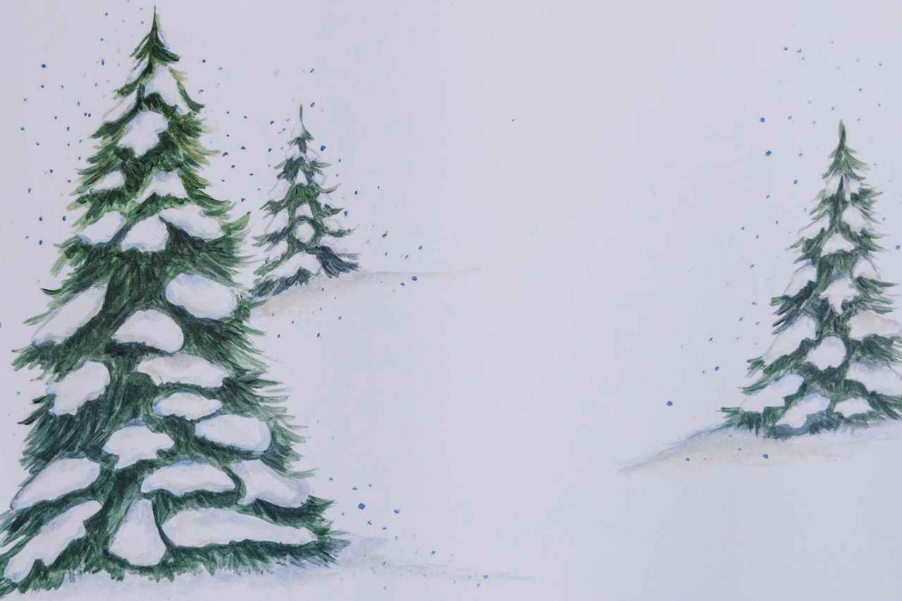 Up close photo of snowy evergreen tree paper placemats