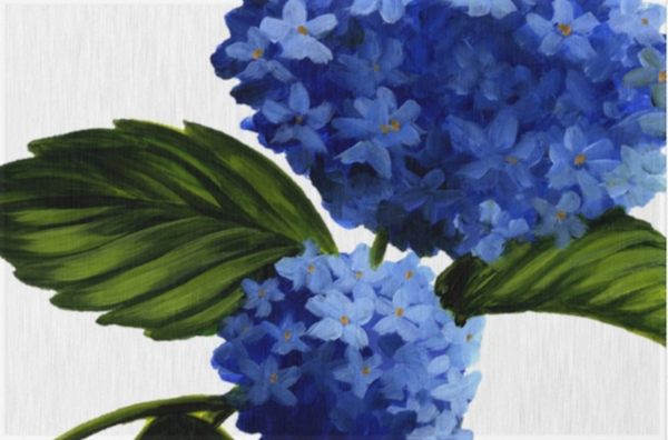 Photo of rug featuring blue hydrangea artwork