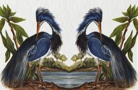 Photo of a rug featuring a mirror image of an egret at the water's edge