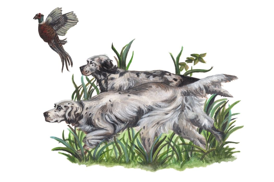 Paper placemat featuring Dale Barattini McLin artwork of two bird dogs in tall grass with a pheasant flying above.