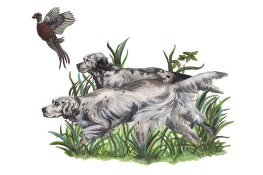 Paper placemat featuring Dale Barattini McLin artwork of two bird dogs in tall grass with a pheasant flying above.