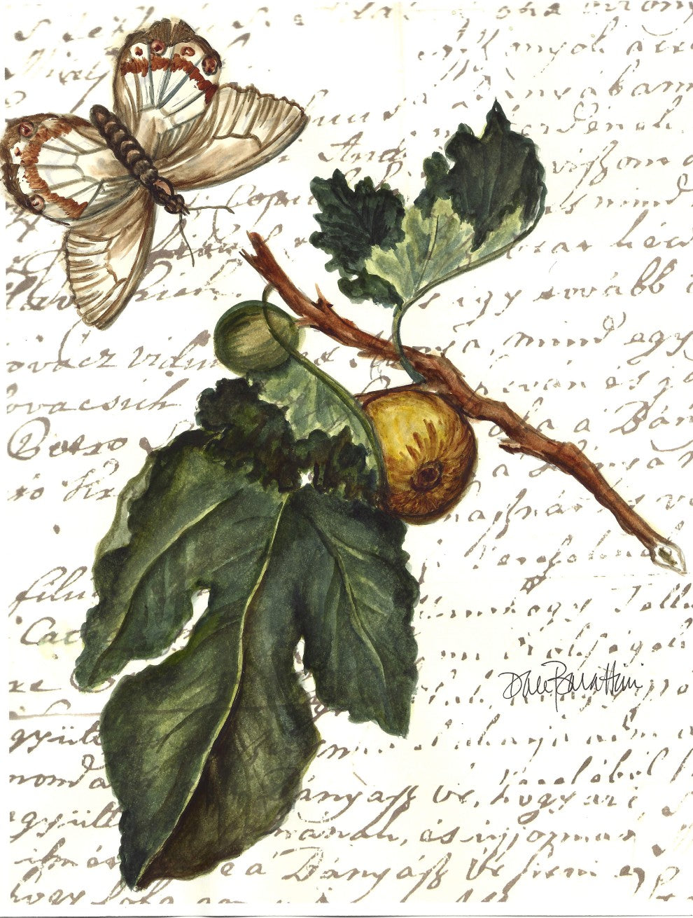 Butterfly and Fig Tabletop Art