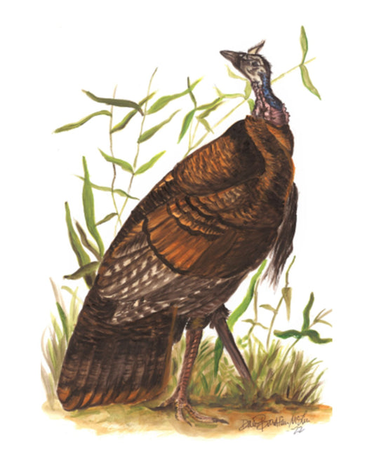 Majestic Turkey Tabletop Art