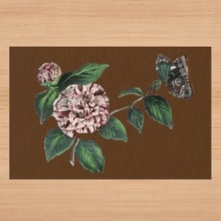 Butterfly and Camellias Rug