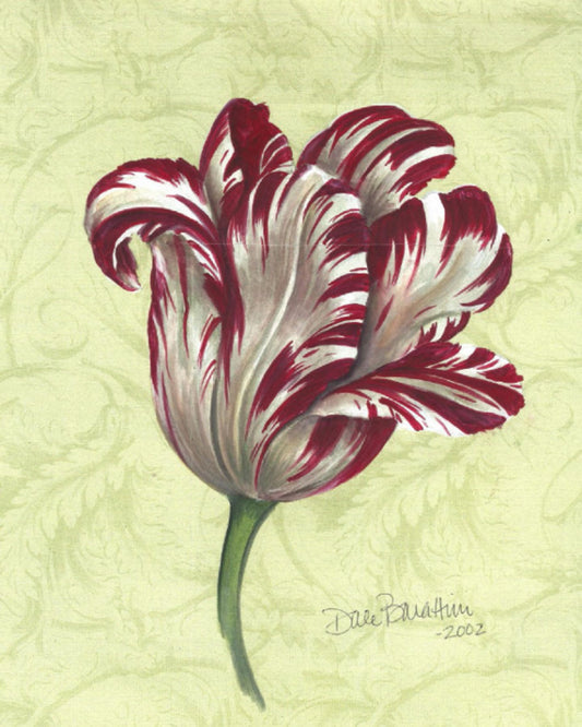 Hand-painted crimson and ivory tulip with ribbon-like petals against a soft green damask background — perfect for spring decor or floral-themed gifting.