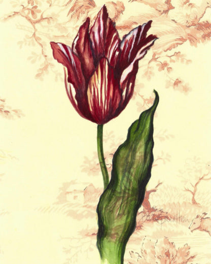Artwork with a burgundy and ivory parrot tulip with curling petals and a single green leaf, set against a blush toile background.