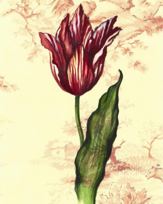 Artwork with a burgundy and ivory parrot tulip with curling petals and a single green leaf, set against a blush toile background.