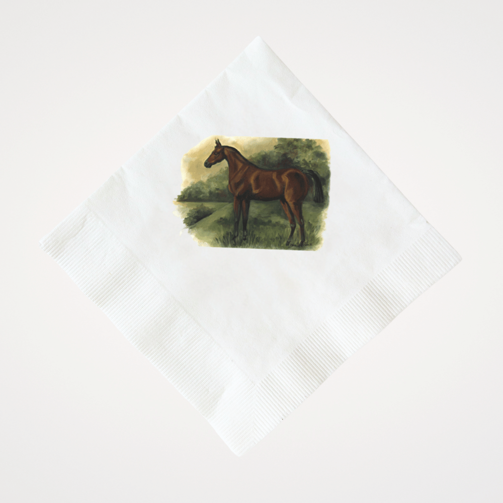 Countryside Elegance | Pack of 20 Paper Beverage Napkins or Guest Towels